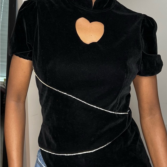 Velvet Blouse - Picture 3 of 4